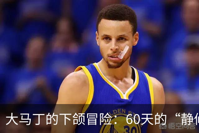 大马丁的下颌冒险：60天的“静修”之旅