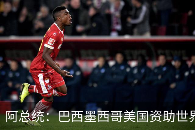 阿总统：巴西墨西哥美国资助世界杯期间“反阿根廷运动”